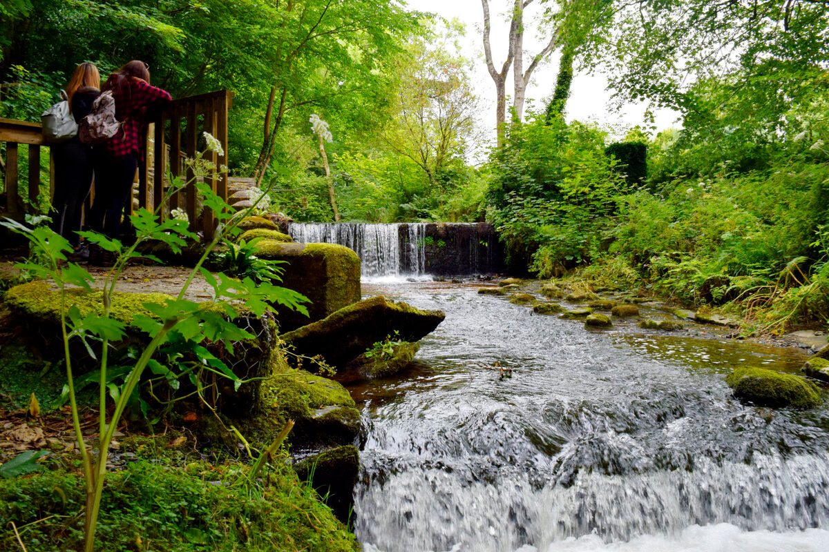 Silverdale Glen